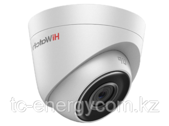 HiWatch DS-I253