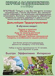 Курсы САДОВНИКОВ