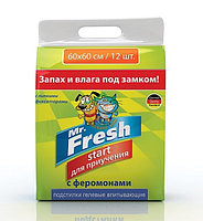 Mr.Fresh Start 60х60 - 12шт