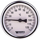 Термометры Манометры Watts, фото 3