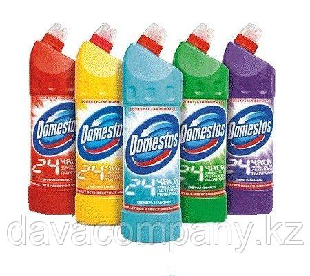 Domestos 750 ml
