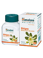 Шигру(моринга) (Shigru Himalaya)