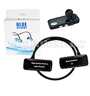 Блютуз наушники Bluetooth Blue Scenery sport F5 черные