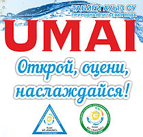 Природная питьевая кремнистая вода «Умай» 19 литров
