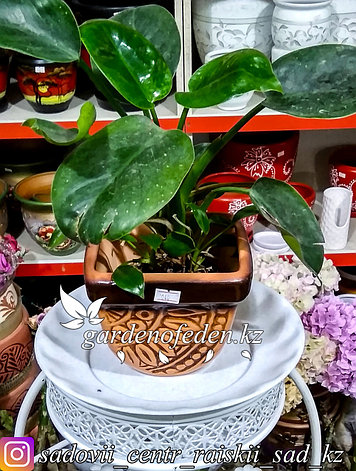 Керамический горшок для цветов (без поддона). Объем: 1л, фото 2