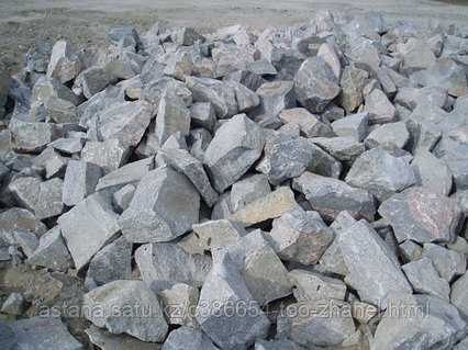 Балапандардың дәретханаға сиып жатқан порносын онлайн көру