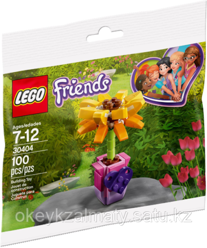 LEGO Friends: Цветок дружбы 30404