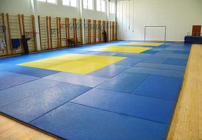 Татами для дзюдо "Эконом" 160 кг/м3 1х2 метра (открытое дно), фото 2