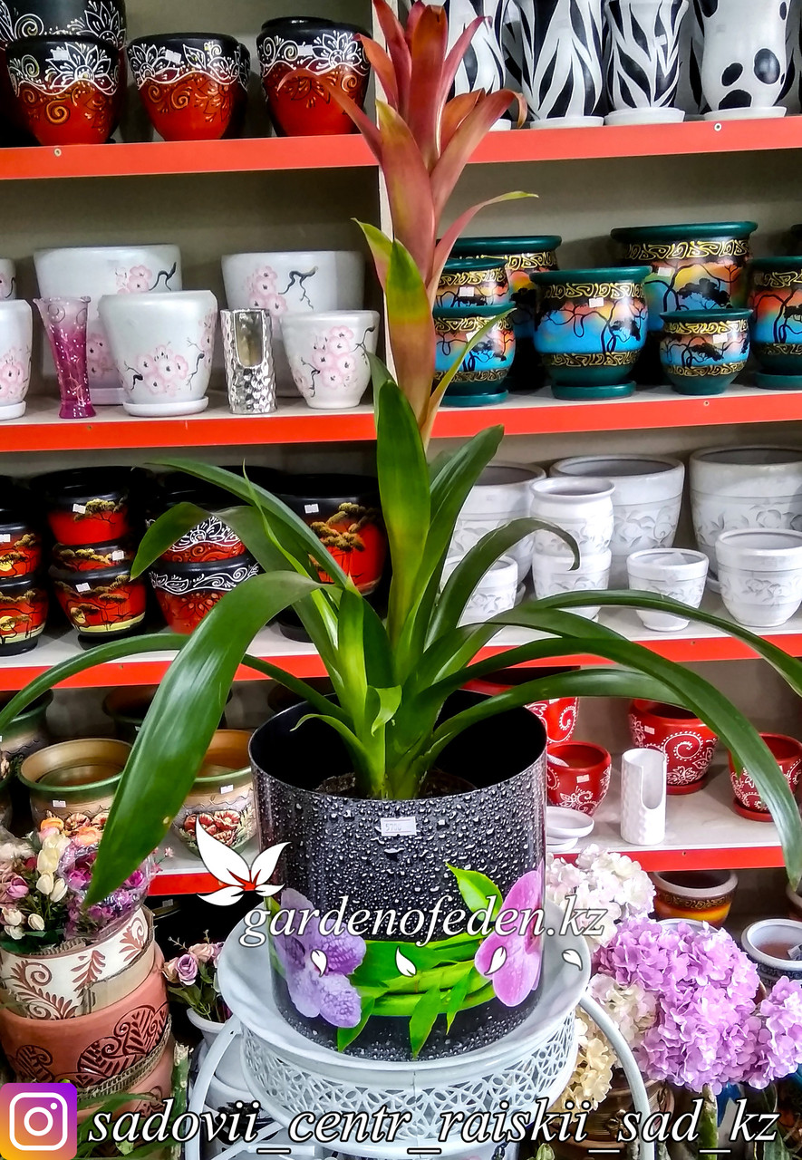 Пластиковый горшок со скрытым поддоном "Орхидеи". Цвет: Черный. Объем: 5.1л - фото 2 - id-p56964249