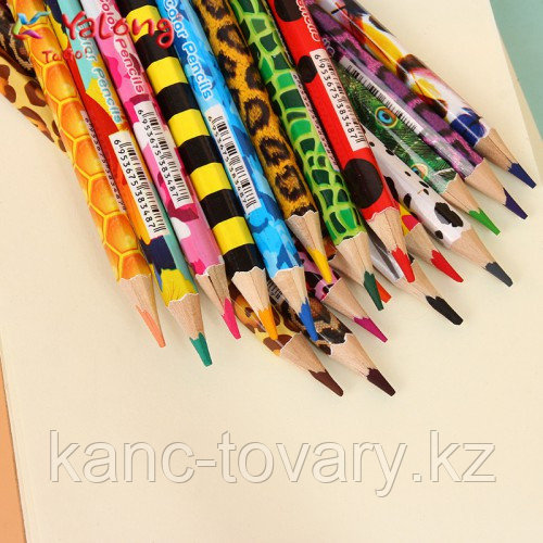 Набор цветных карандашей Зоопарк Yalong 24 цвета - фото 2 - id-p56966309