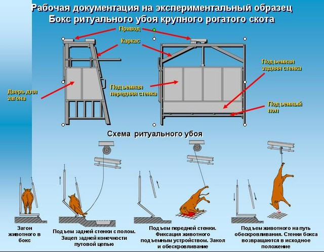 Убойная площадка (оборудование) до 3 тонн/смену