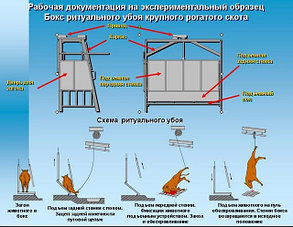 Комплект оборудования убойного пункта мощностью до 3-х тонн мяса в смену, фото 1