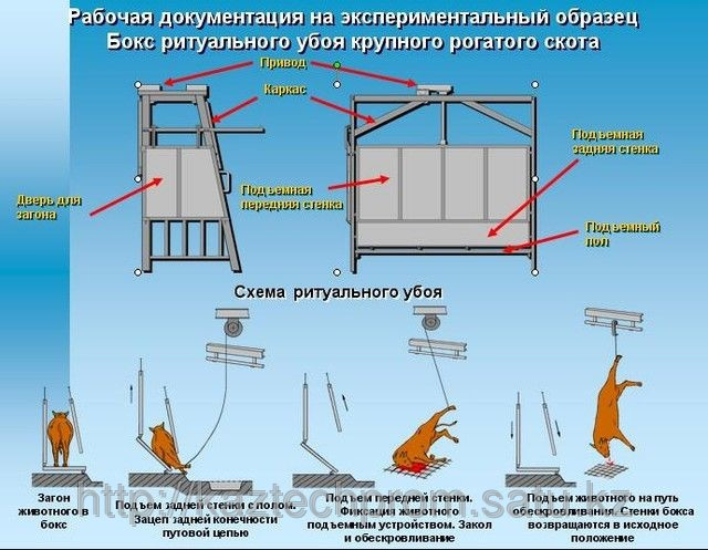 Комплект оборудования по убою скота