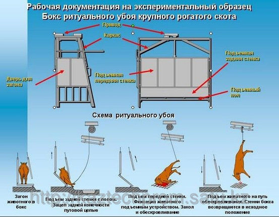 Комплект оборудования по убою скота, фото 2