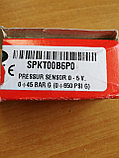 SPKT00B6P0, фото 2