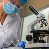 Микроскопы медицинские для биохимических исследований XSP-104 (монокулярный), фото 4