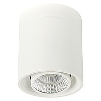 Св-к LED COB RD012 20W WHITE 220-240V 4000K (5 лет