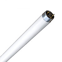 Люм. лампа T8 / F18W / DL (TECHNOLIGHT) 25шт