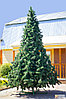 Ели искусственные искусственная ель, елки искусственные, елки из пвх 5 м (диаметр 2,2 м), фото 3