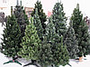 Ели искусственные искусственная ель, елки искусственные, елки из пвх 25 м (диаметр 11 м), фото 4