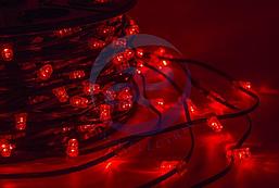 Гирлянда "LED ClipLight" 12V 150 мм, цвет диодов Красный