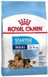 Royal Canin Maxi Starter (1 кг. весовой) Роял Канин макси Для щенков собак крупных размеров до 2х месяцев