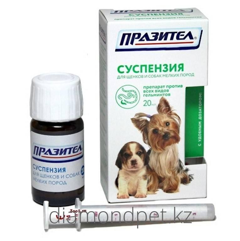 Празител суспензия для щенков и собак мелких пород, 20 мл. Празител суспензия для собак. Празител для собак мелких. Празител для собак мелких. Празител суспензия 20 мл д/щенков и соб.
