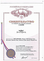 Свидетельство регистрации товарного знака "Shining Star" в России.