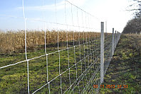 Сетка шарнирная - Чабанка - Фермерская - высота 1,4 х 50 м