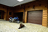 Гаражные  ворота, фото 5