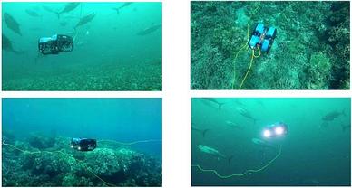 Телеуправляемый необитаемый подводный аппарат, фото 2