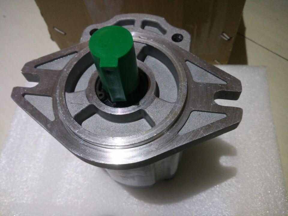 Насос гидравлический (CBF-F432-ALPL) XCMG WZ30-25