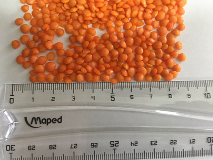 Хардкор татуировкасы порно