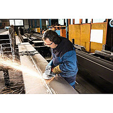 Bosch GWS 22-180 H Professional в Казахстане, фото 2