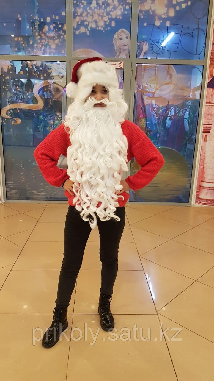 Борода Деда Мороза + парик - фото 3 - id-p57387684