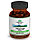 Moringa (Моринга) Organic India, активная пищевая добавка с витаминами и минералами, 60 капсул, фото 2