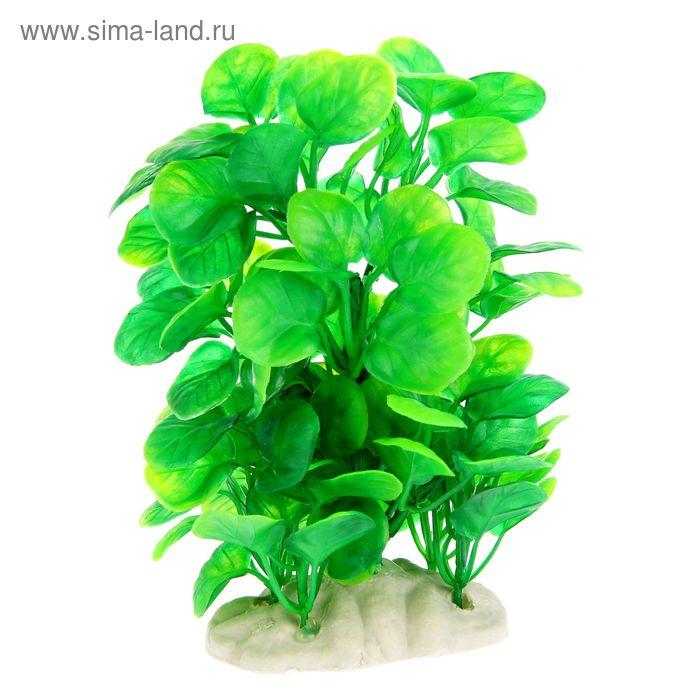 Растение искусственное аквариумное 15 х 12 х 18 см
