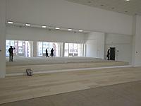 Зеркала с обработкой для спортивных залов, включая установку