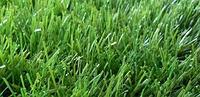 FIELDTURF жасанды футбол алаңдары