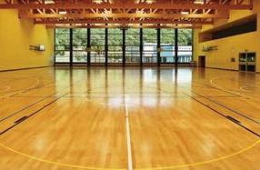 Спортивные ПВХ покрытия LG HAUSYS