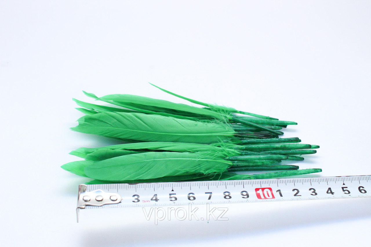 Перья натуральные для декора, зеленые, 13 см - фото 2 - id-p57528854