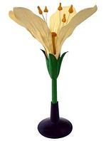 Оборудование для класса биологии