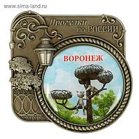 Магнит серия Прогулки по России «Воронеж», 6 х 6,1 см