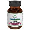Triphala Organic India, Натуральный препарат для комплексного оздоровления, 60 капсул