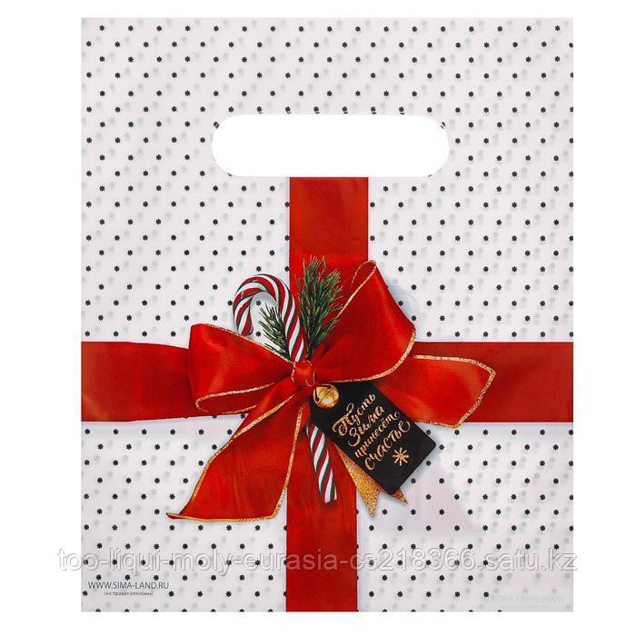 Пакет подарочный полиэтиленовый «Пусть зима принесет счастье», 17 × 20 см - фото 1 - id-p57619346