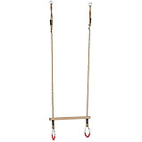 Трапеция с кольцами металлические кольца, фото 2