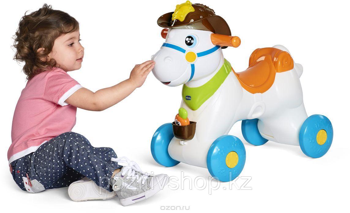 Лошадка каталка Chicco Baby Rodeo - фото 3 - id-p57632067