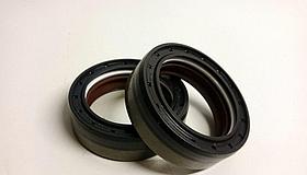 Сальник Carraro 641734