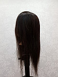 Учебная голова голова шатен натуральный волос, фото 4
