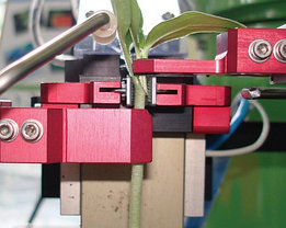 Ультра точный робот для графтинга (прививки) овощных растений AFGR-800CS, фото 2